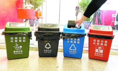 垃圾分类投放