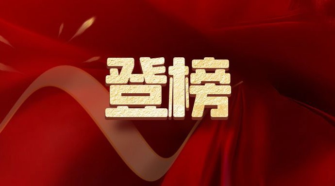 政务协同办公“引领者” 蓝信入选IDC 2024数字政府百强榜