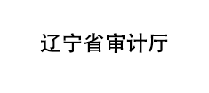辽宁审计
